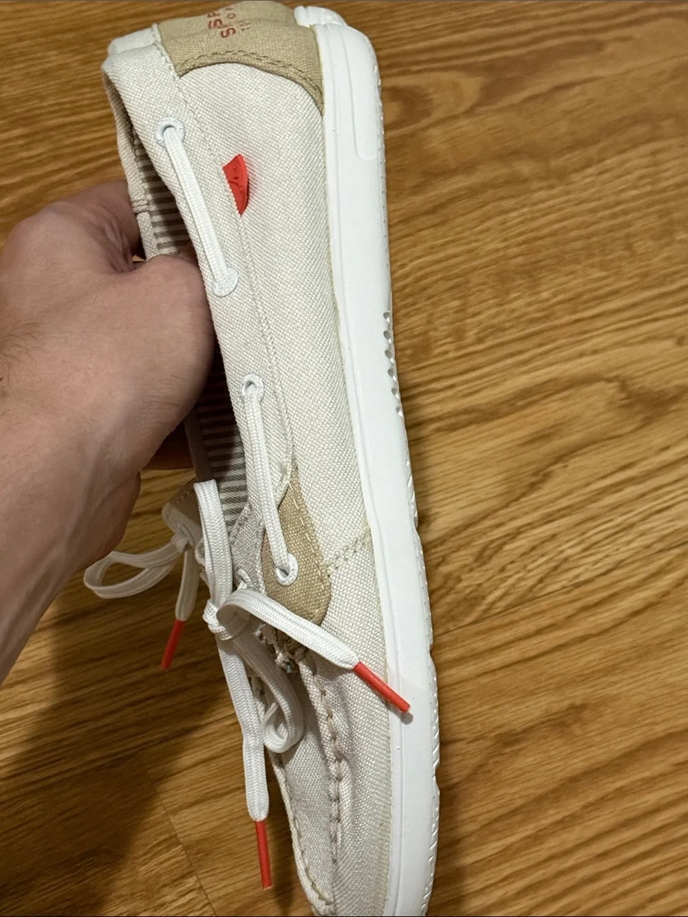 Sperry casual slip